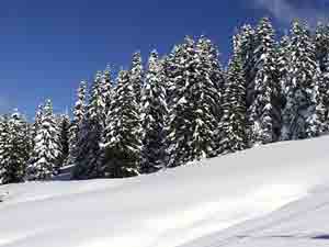 SUR LES PISTES