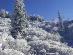 SUR LES PISTES